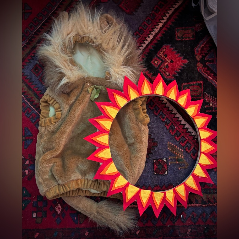 Kids (infants) Lion Costume with Hood and Tail - Brown